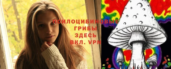 трава Наволоки